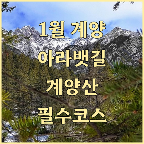 1월 인천 계양구 나들이 명소 경인아..