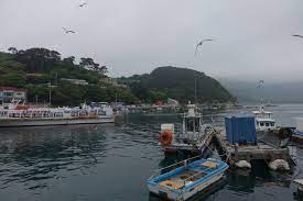 경남 청년 전세보증금반환보증 보증료 지원사업 신청대상과 지원혜택