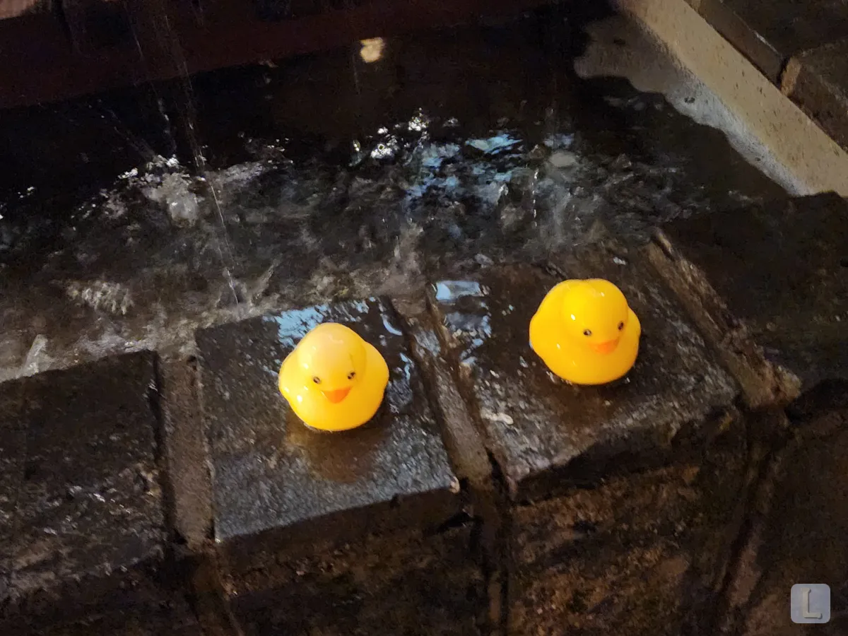 대구-중구-소고기-야키니쿠-맛집-킨슈-소품-오리인형