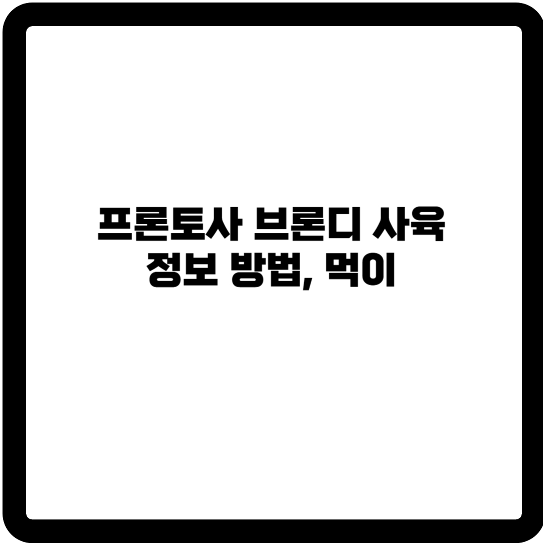 프론토사 브론디