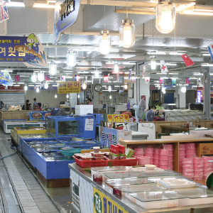 속초 가볼만한곳 속초중앙시장