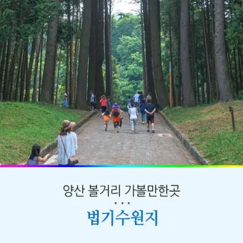 양산 가볼만한곳 추천 맛집 카페 여름 BEST 10_15