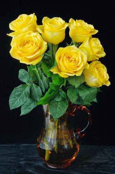화병에 담긴 노란장미