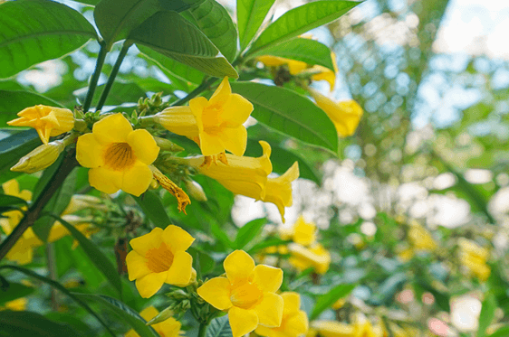 눈 오는 날 실내 여행지 겨울철 실내 명소 추천 서울 실내 여행지 추천 인천 실내 명소 대구 실내 명소 눈 오는 날 가볼 만한 장소 실내 활동 추천 겨울 여행지 추천 온천과 스파 추천 실내 관광지 추천 롯데월드 아쿠아리움 실내 명소 서울식물원 온실 겨울 여행 실내 관광지 파라다이스시티 씨메르 스파밸리 워터파크 겨울