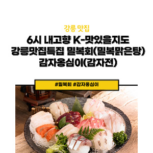 6시 내고향 K-맛있을지도 강릉맛집