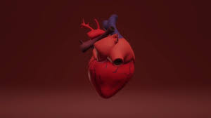 나이별 혈압 정상수치