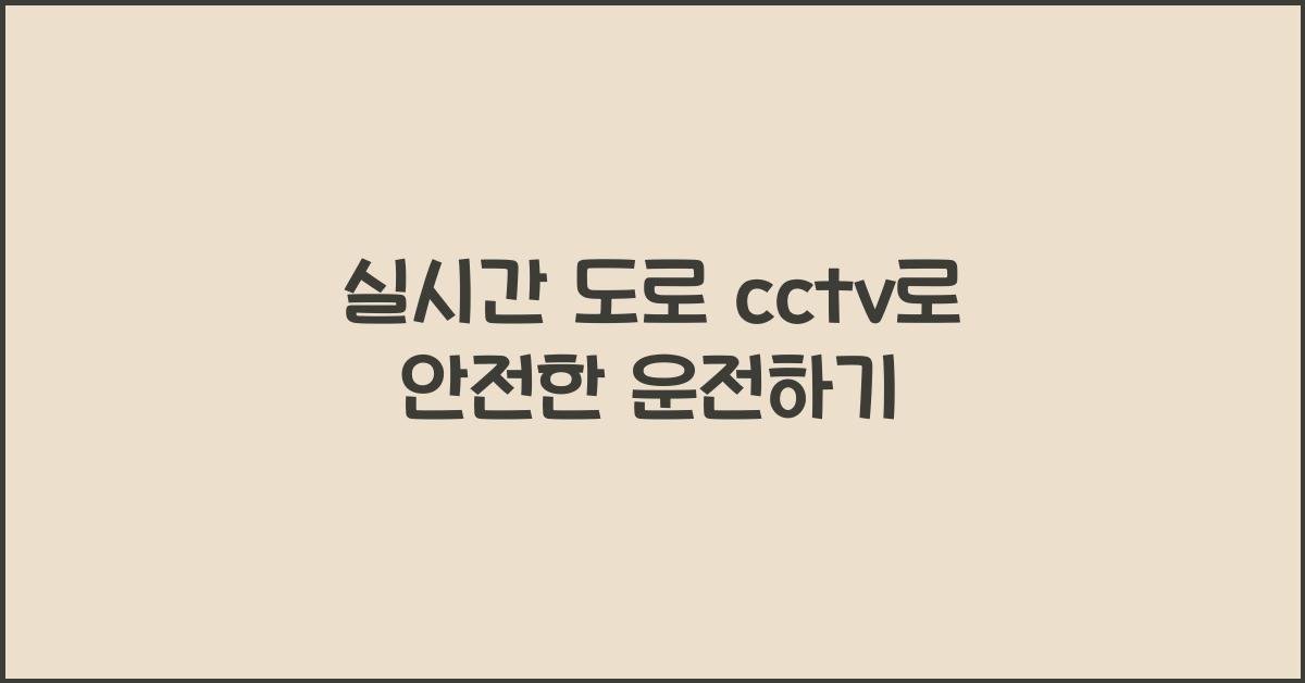 실시간 도로 cctv
