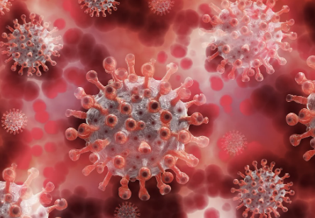 백혈구 수치가 낮은 이유 15