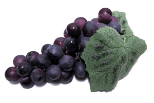 신장에좋은과일22