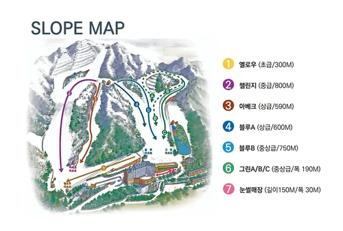 양지파인리조트 스키장