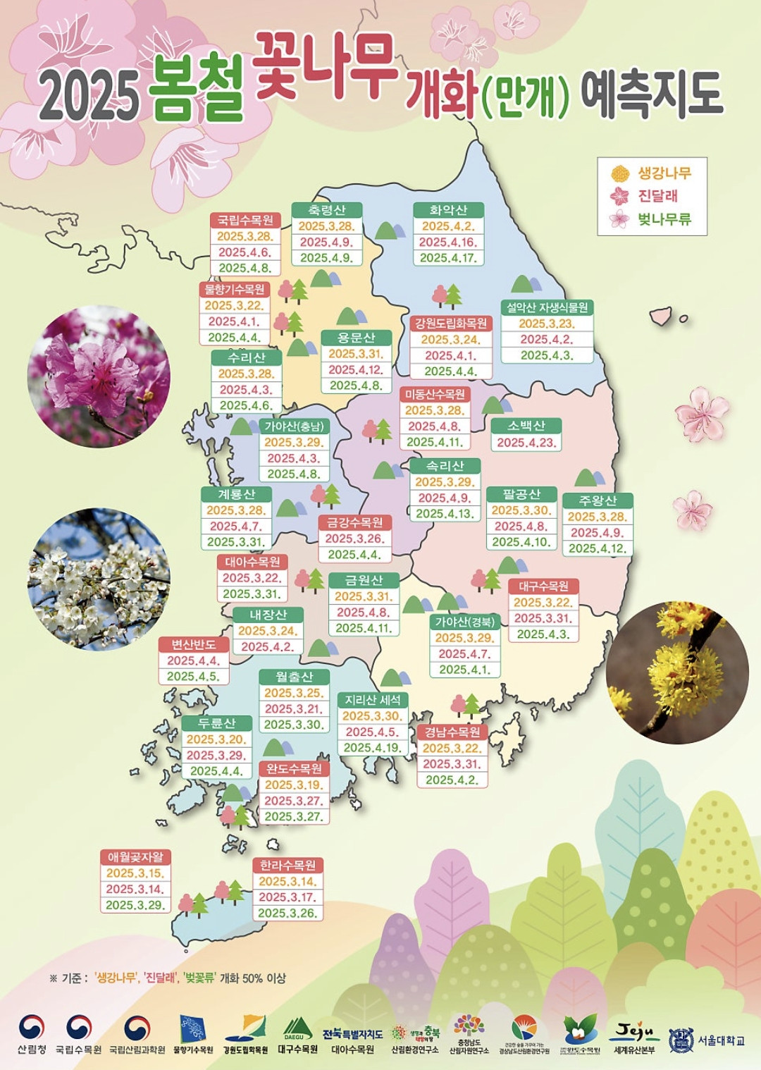 벚꽃만개시기 2025 지도