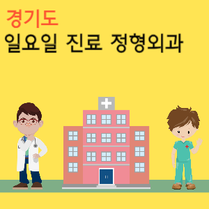 경기도 일요일 진료 정형외과