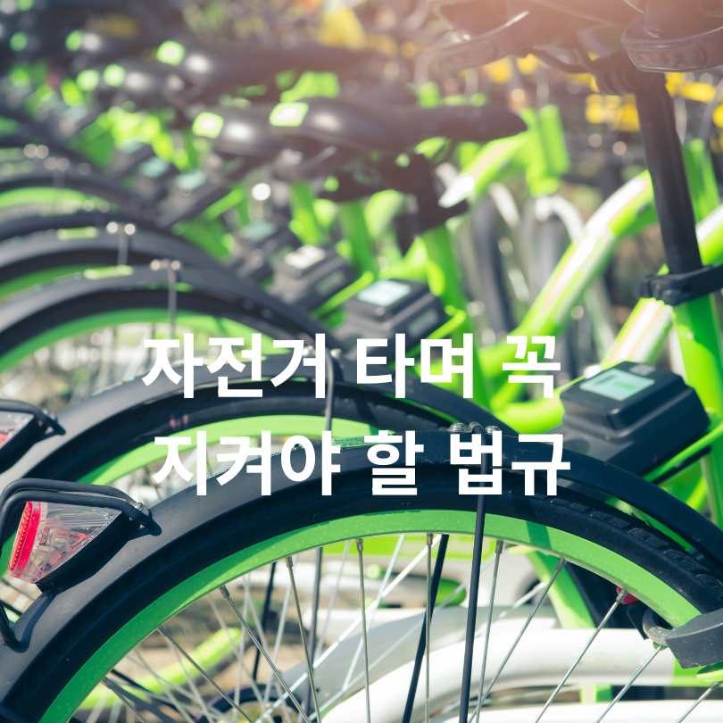 자전거 교통법규 총정리 : 범칙금까지