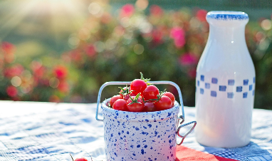 스테비아 방울토마토