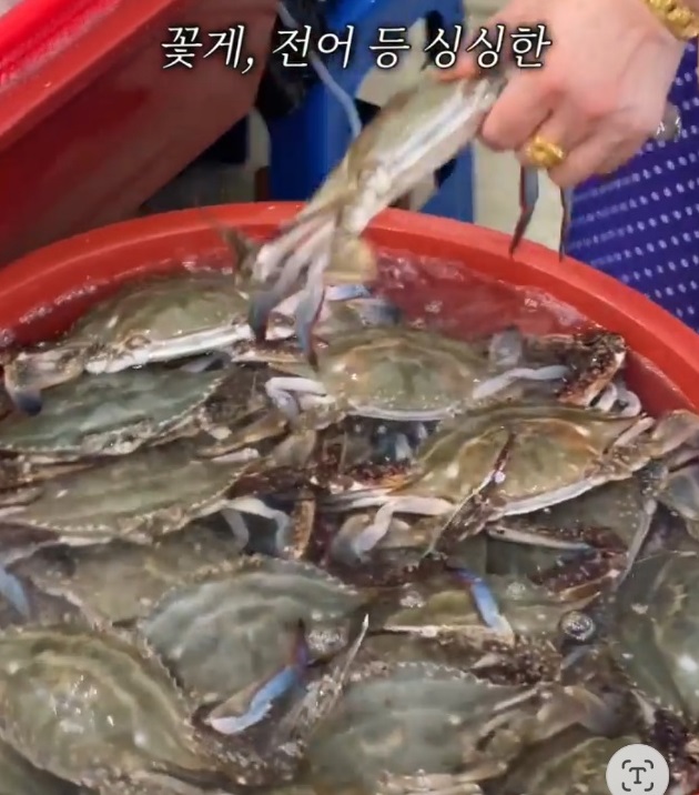 백반기행-서천-태진아-재래시장-서천특화시장