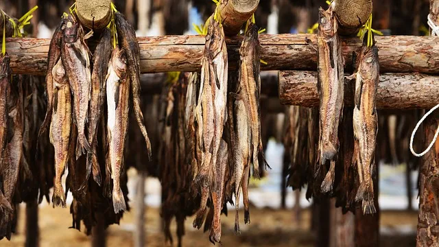 먹태 황태 차이 특징 칼로리 레시피_5