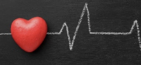 비타민d 효능 11