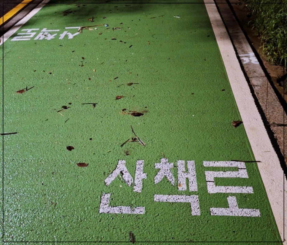 중랑천-산책-81