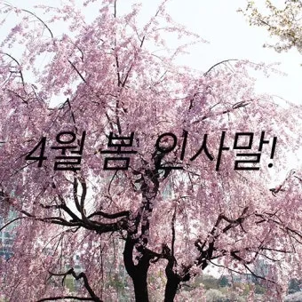 4월 인사말 모음 문구 이미지 일러스트_19