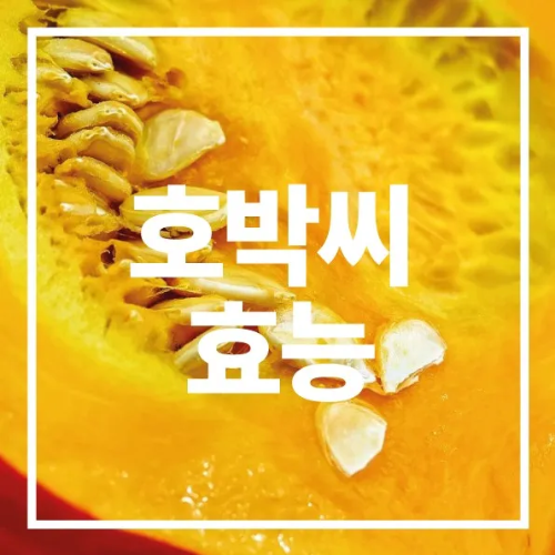 호박씨 효능