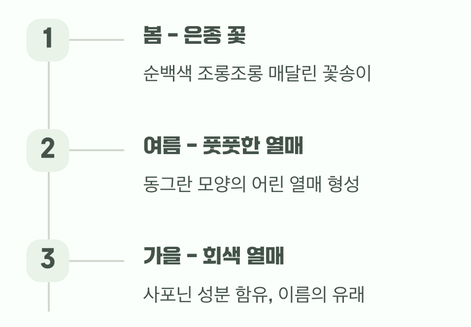 비결 4. 꽃 지고 난 뒤의 또 다른 선물