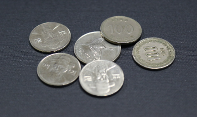 진안군-민생지원금