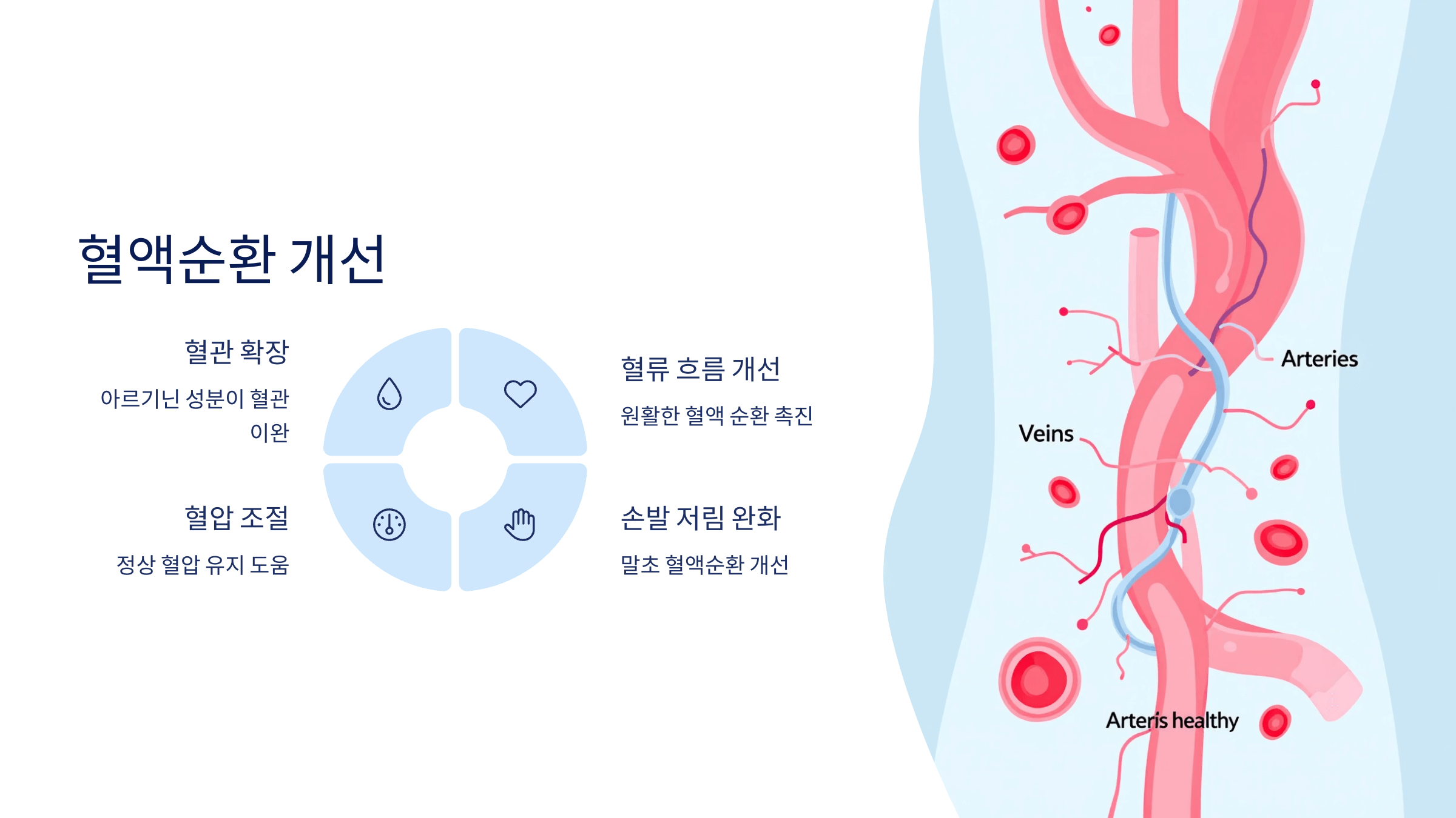 파비플로라 사진입니다.