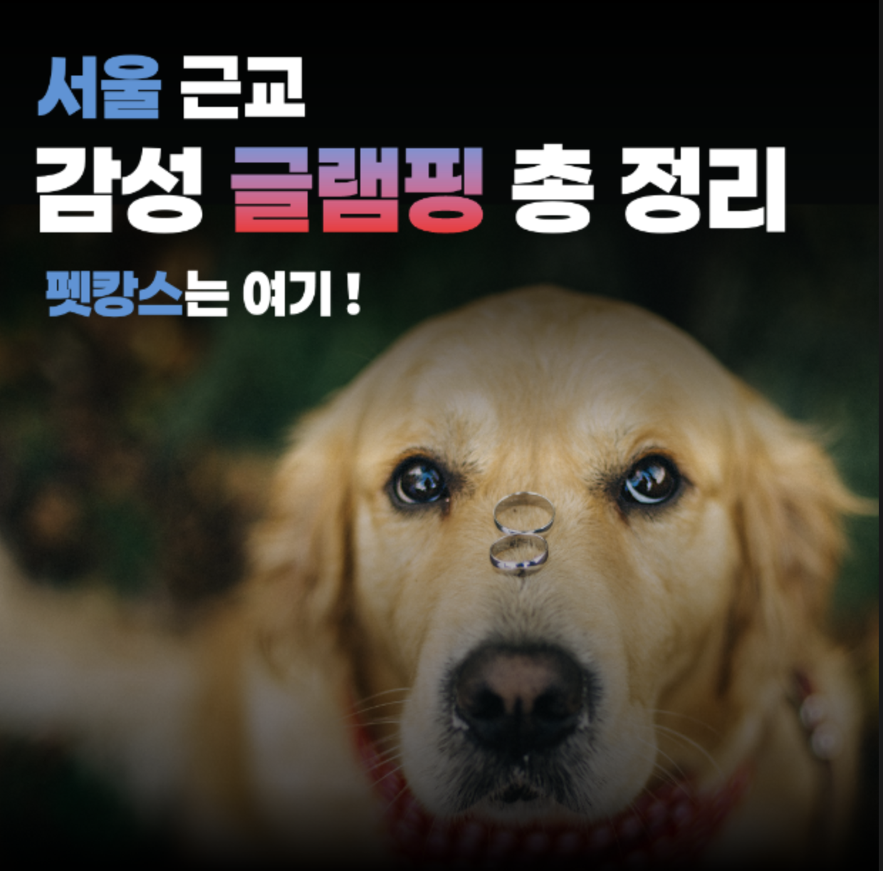 서울 근교 감성 글램핑 총정리