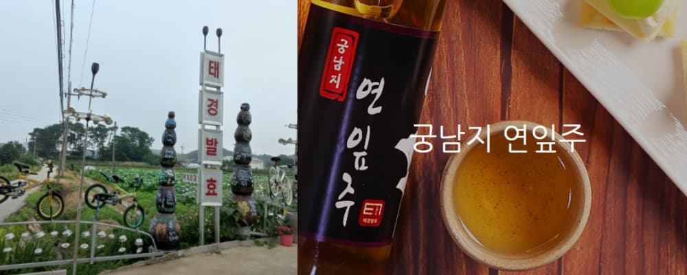 생생정보통 오늘방송(2월 24일) 태능집,369활어회,미래농장,청도레일바이크,태경발효 연농장