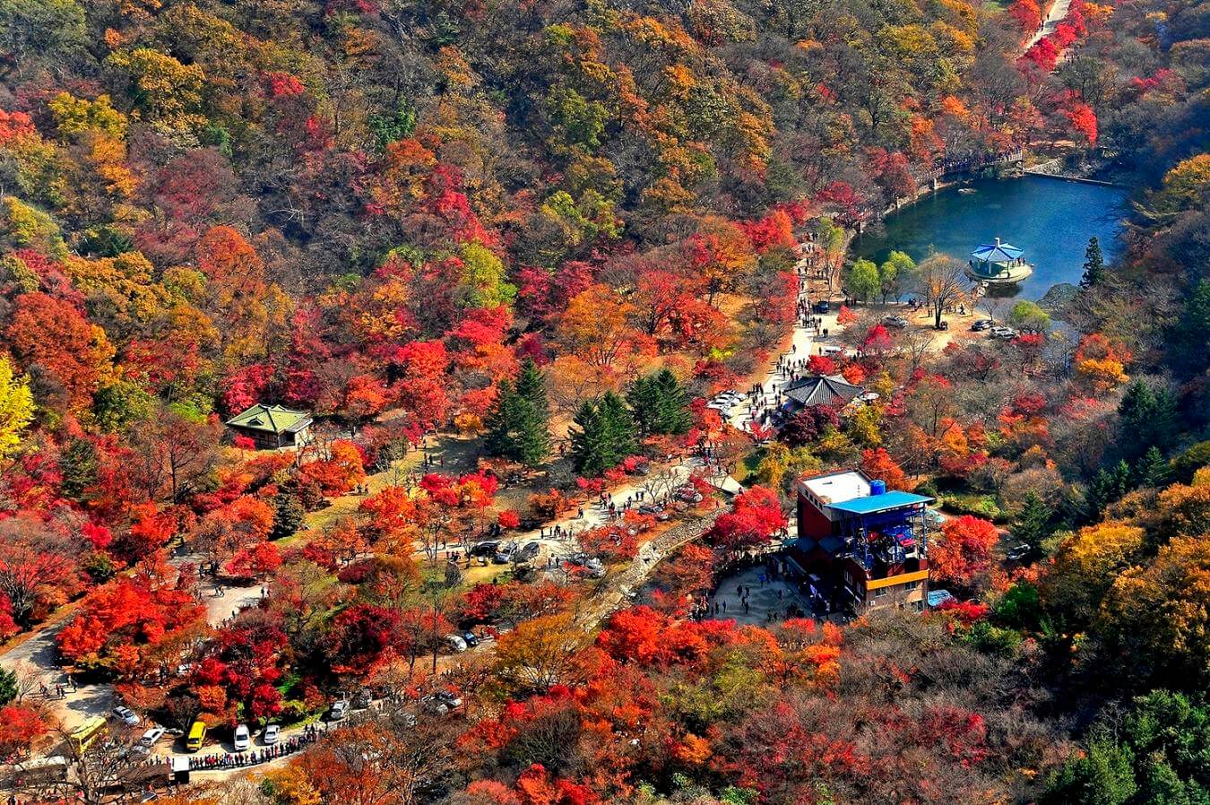 가을 단풍여행 꼭 가볼한 곳 베스트 5 여기는 꼭 가보세요!