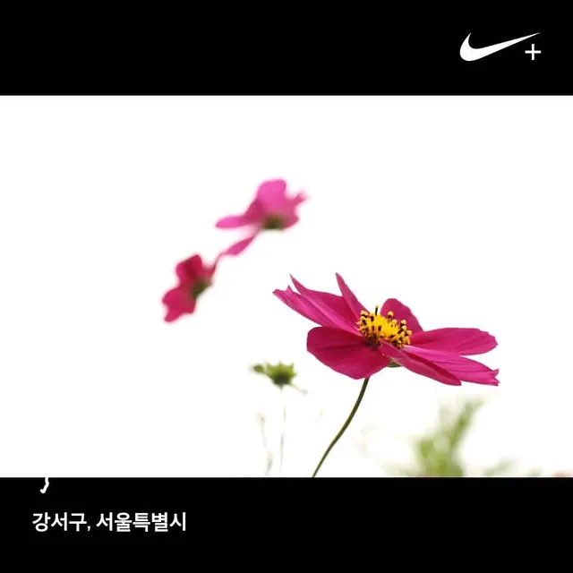 강서구 러닝코스 추천 한강공원부터 트랙까지 코스 총정리_3