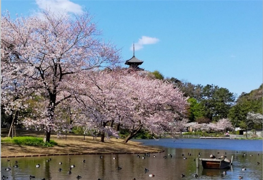 산케이엔(三溪園) 정원