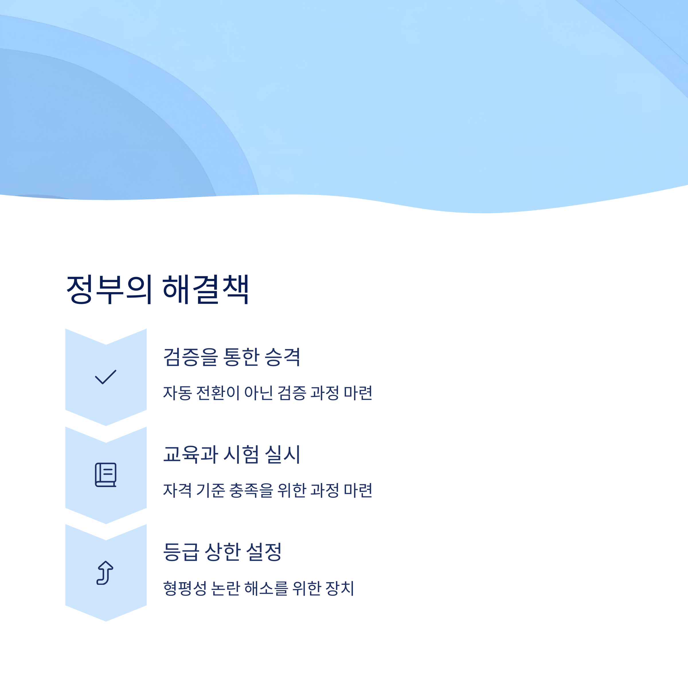 정부의 해결책