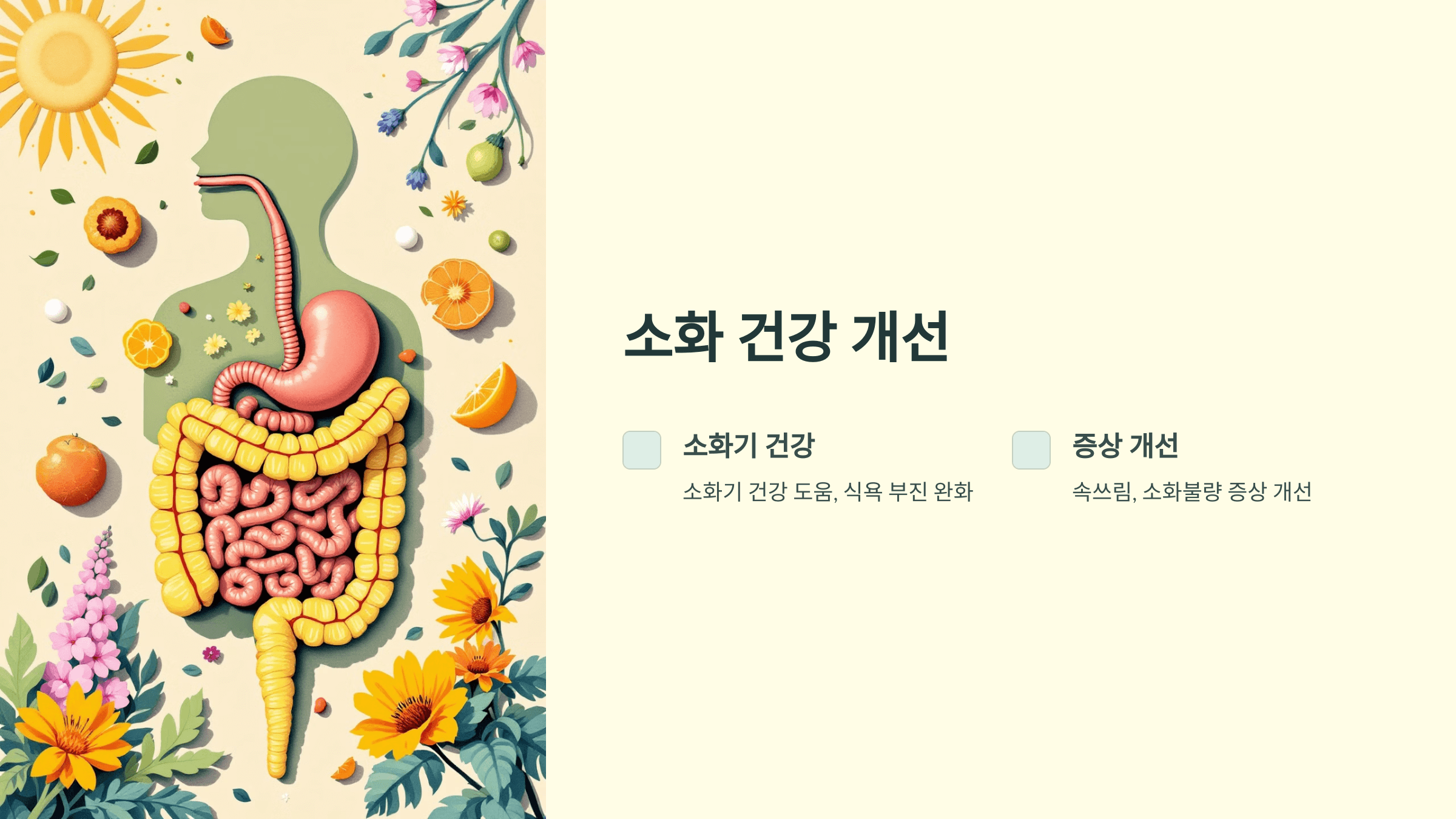 황기와 관련된 사진입니다.