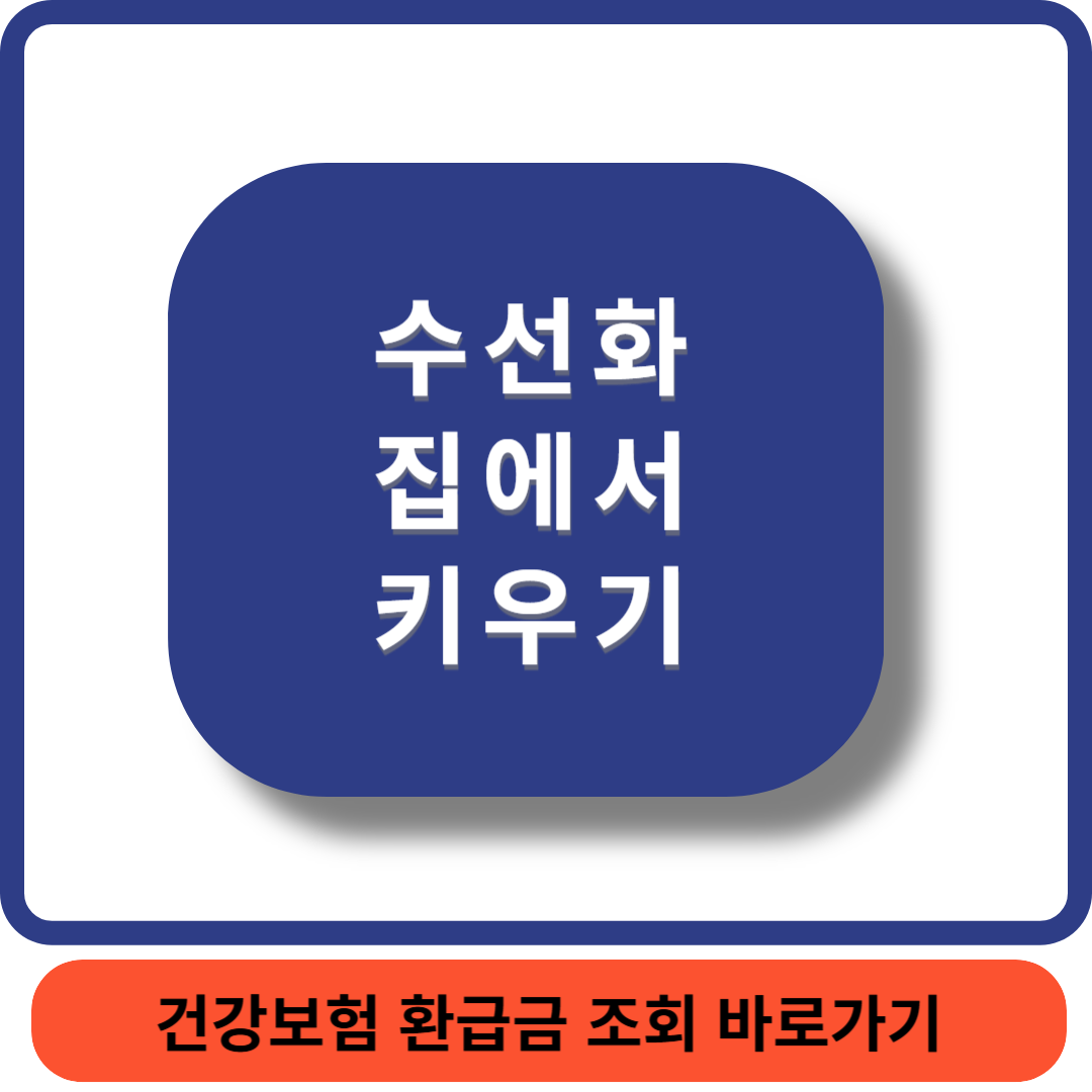 수선화키우기썸네일