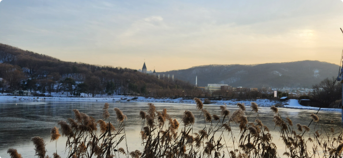 율동공원 나폴레옹