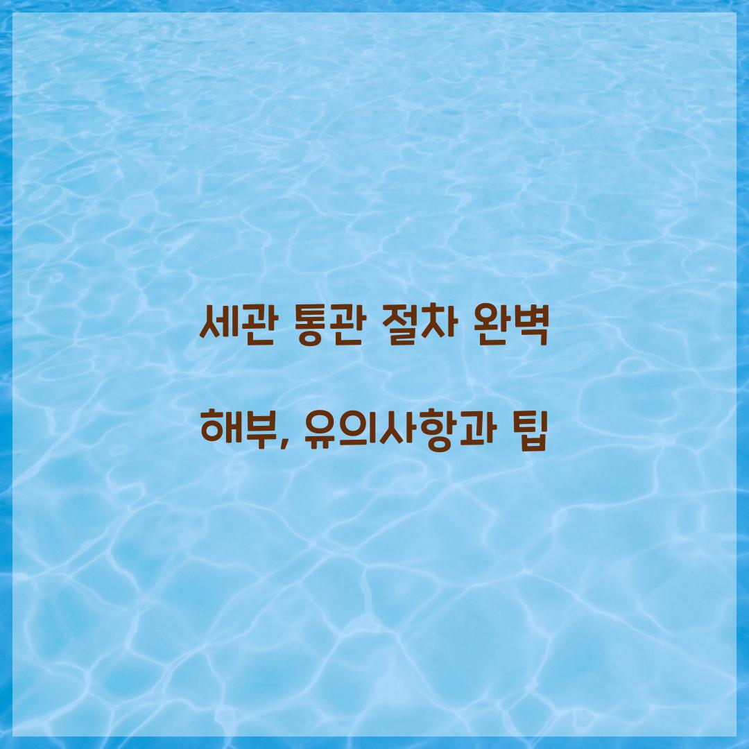 세관 통관 절차