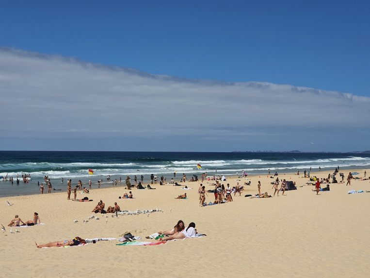 서퍼스 파라다이스 해변