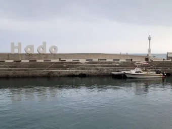 제주도 괸당문화란 유래 역사_2