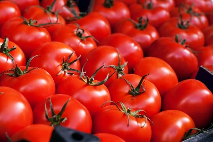 쌓여져-있는-잘-익은-토마토