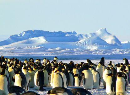 지구상에서 가장 극단적인 생존 환경 알아보기