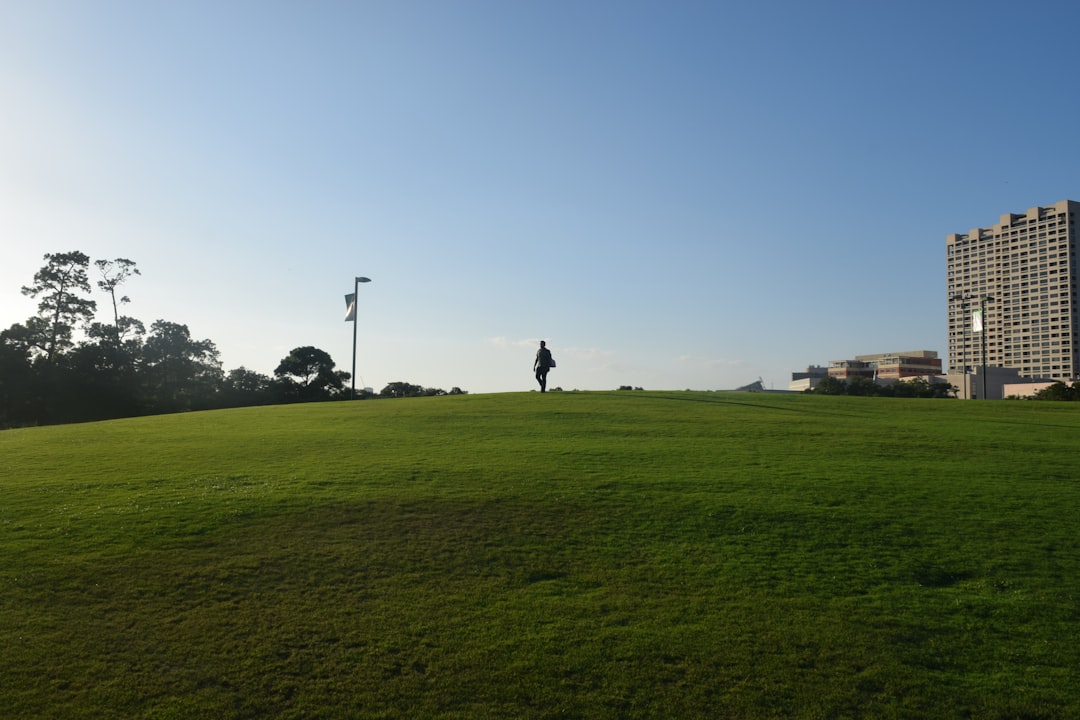 Park golf.