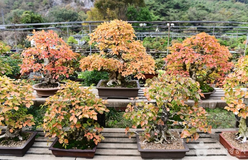 순창 가볼만한곳 베스트 10