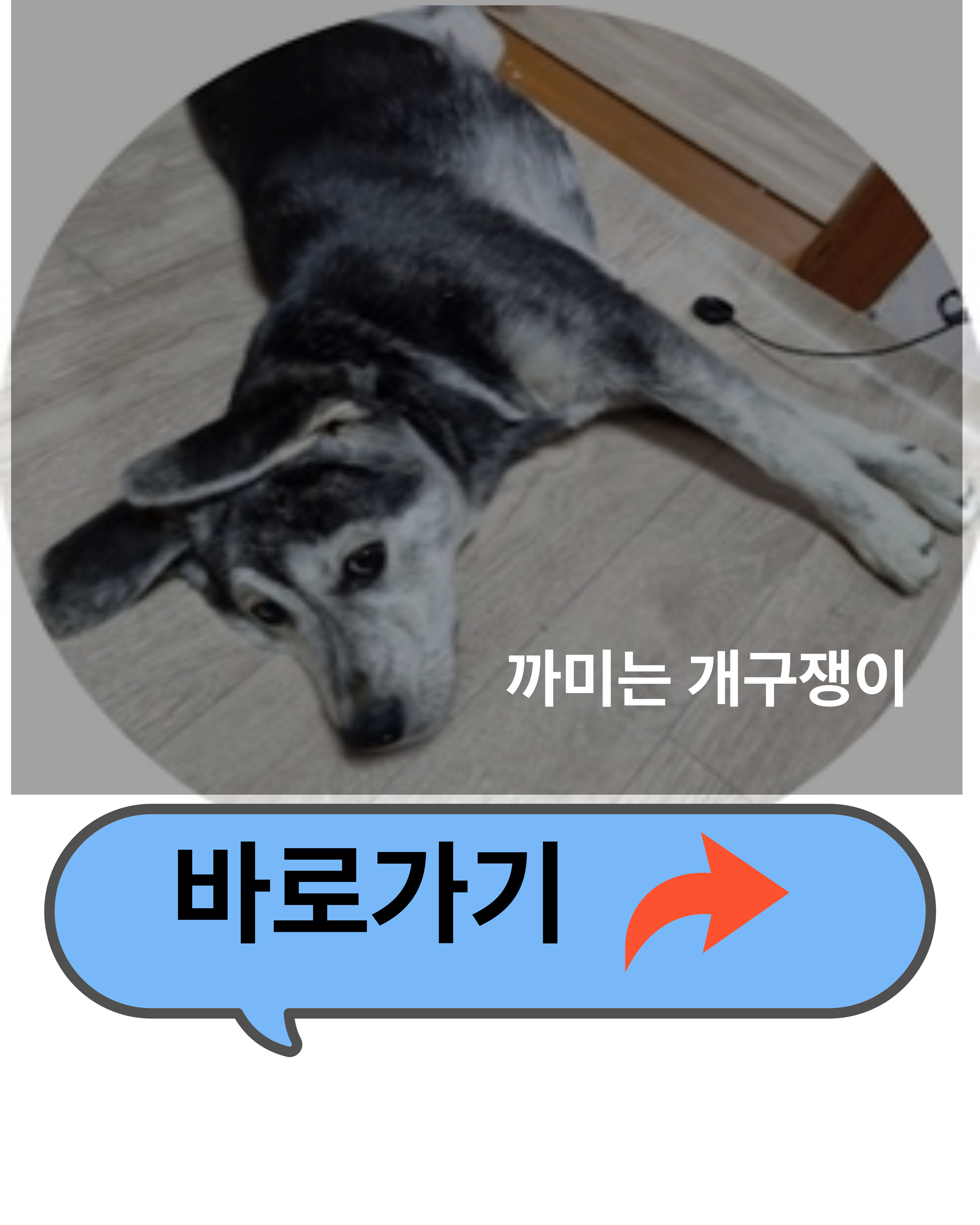 이미지alt태그 입력