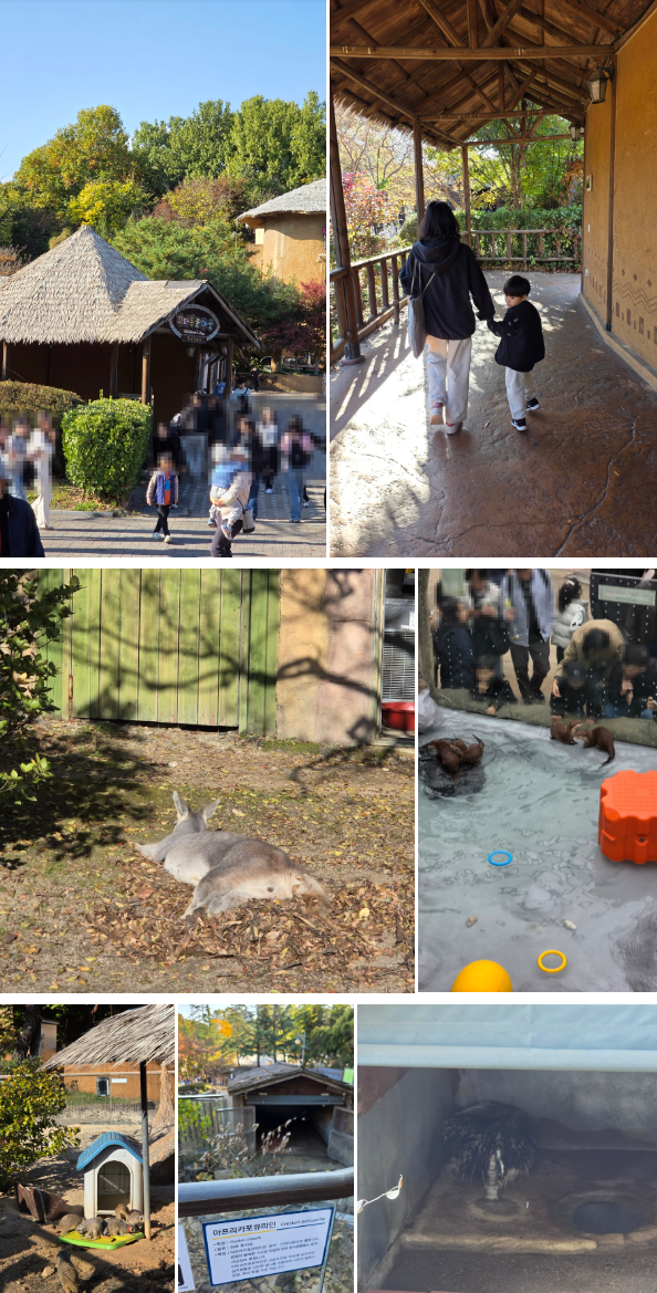 서울어린이대공원 동물원 가을 나들이 (무료입장/관람 코스)