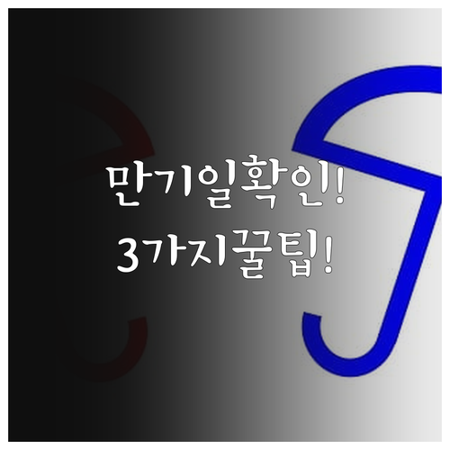 내 차 보험 만기일 확인하는 3가지 ..