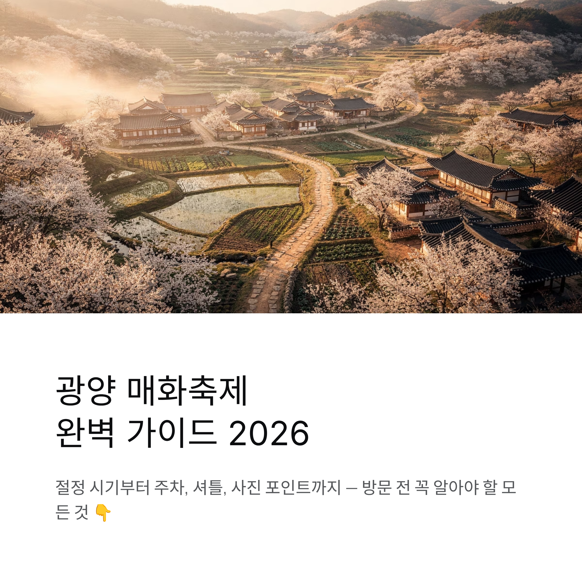 광양 매화축제 매화 절정 시기, 주차장, 셔틀, 사진 포인트 총정리 (2026)