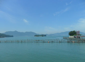 경남 사천 죽방렴 건멸치 주문 방법