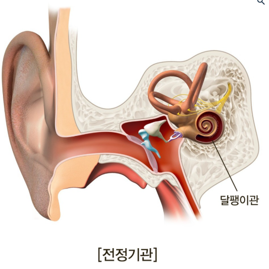 이석증 증상과 자가치료법