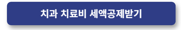 2024년 연말정산 : 치과 치료비 세액공제